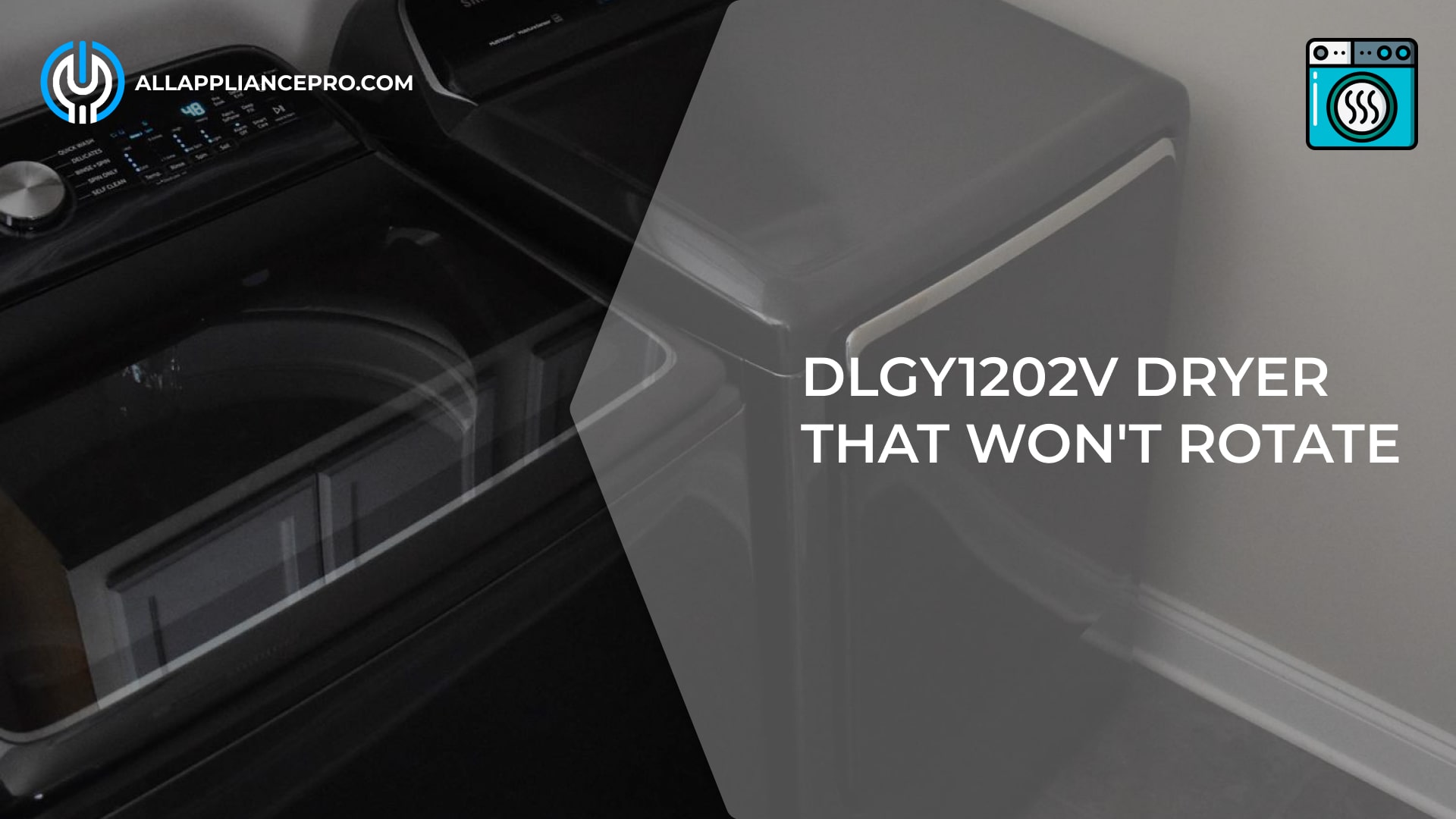 DLGY1202V Dryer That Won't Rotate