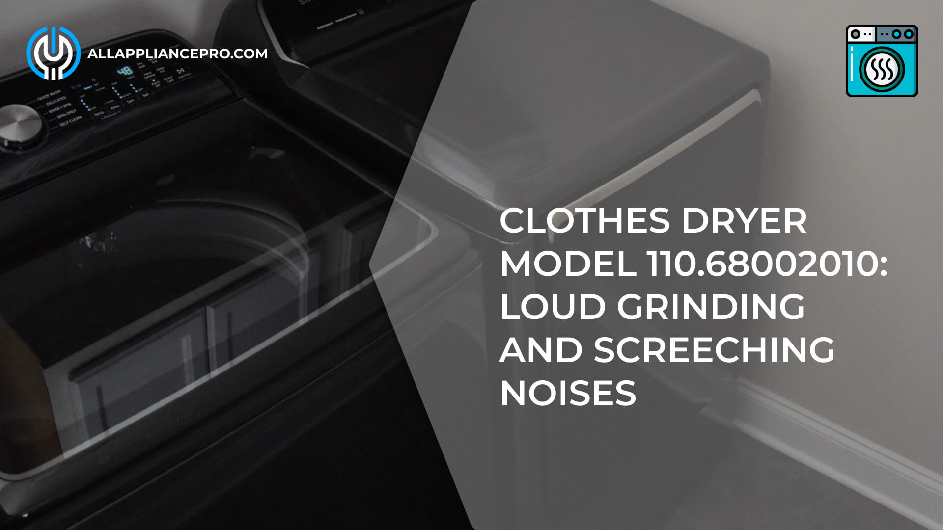 Clothes Dryer Model 110.68002010 Noises