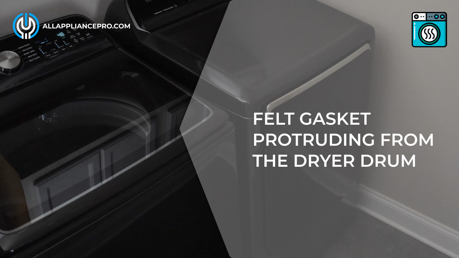 Felt Gasket Protruding from the Dryer Drum 