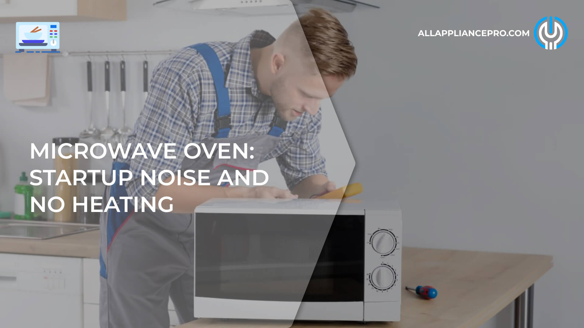 Microwave Oven: Startup Noise and No Heating 