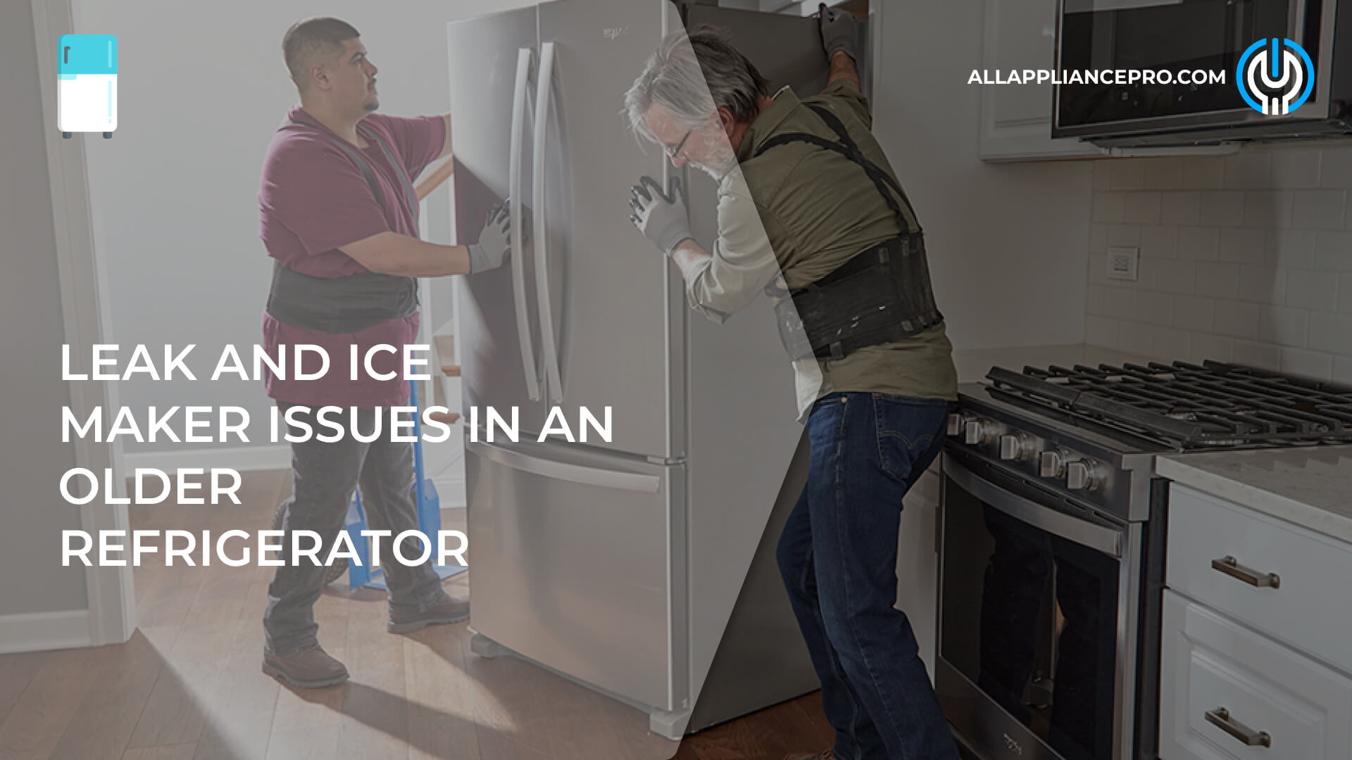 Leak and Ice Maker Issues in an Older Refrigerator